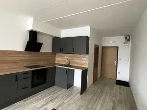 Pronájem bytu 1+kk, Milevsko, Písecké předměstí, 30 m2