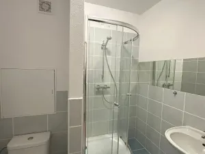 Pronájem bytu 1+kk, Milevsko, Písecké předměstí, 30 m2