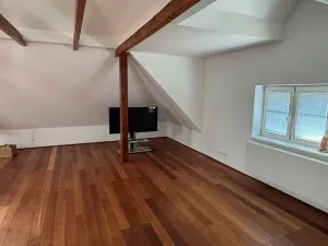 Dražba rodinného domu, Praha - Vinohrady, Květná, 266 m2