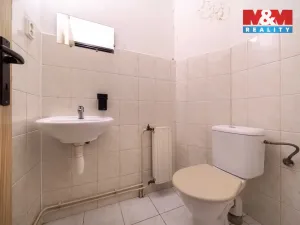Pronájem bytu 1+kk, Hořovice, Anýžova, 30 m2