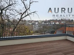 Pronájem bytu 4+kk, Praha - Nusle, Bělehradská, 123 m2