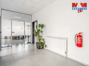 Pronájem kanceláře, Děčín - Děčín II-Nové Město, Benešovská, 320 m2