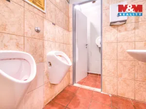 Pronájem obchodního prostoru, Plzeň - Jižní Předměstí, Americká, 102 m2