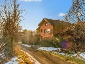 Prodej rodinného domu, Stráž, 320 m2