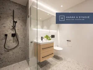 Pronájem bytu 1+kk, Brno, Cejl, 29 m2