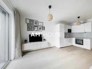 Pronájem bytu 2+kk, Praha - Karlín, Křižíkova, 49 m2