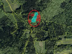Prodej podílu lesa, Halenkov, 1840 m2