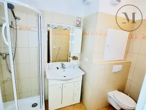 Pronájem bytu 1+1, České Budějovice, Riegrova, 55 m2