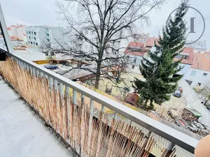 Pronájem bytu 1+1, České Budějovice, Riegrova, 55 m2