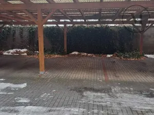 Pronájem bytu 1+1, České Budějovice, Riegrova, 55 m2