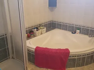 Prodej rodinného domu, Horní Bludovice, 330 m2