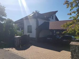 Prodej rodinného domu, Horní Bludovice, 330 m2