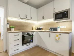 Pronájem bytu 2+kk, Praha - Strašnice, Na Třebešíně, 50 m2