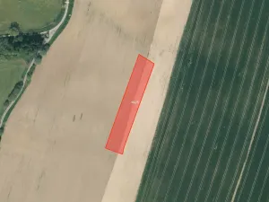 Prodej pole, Dražičky, 25490 m2