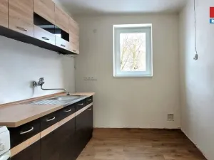 Pronájem bytu 3+1, Frýdštejn - Bezděčín, 65 m2