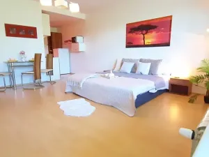 Pronájem bytu 1+kk, Brno, Šemberova, 48 m2