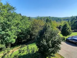 Pronájem bytu 1+kk, Brno, Šemberova, 48 m2