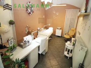 Pronájem obchodního prostoru, Plzeň, Bezručova, 15 m2