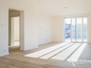 Prodej rodinného domu, Klenovice, 286 m2