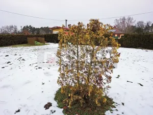 Prodej pozemku pro bydlení, Tišice, Kostelecká, 1059 m2