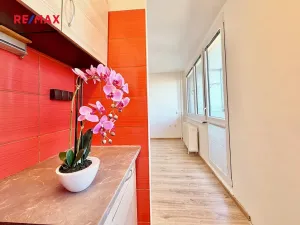 Prodej bytu 1+kk, Pardubice, Valčíkova, 29 m2