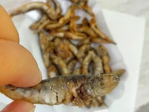 Prodej rodinného domu, Primorsko, Bulharsko, 118 m2