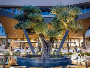 Prodej bytu 3+kk, Savudrija, Chorvatsko, 70 m2