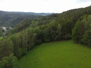 Dražba louky, Rejštejn, 1970 m2