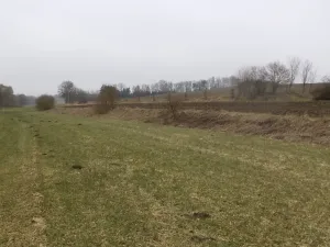 Dražba louky, Trhový Štěpánov, 705 m2