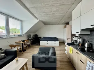 Pronájem bytu 1+kk, Brno, 38 m2