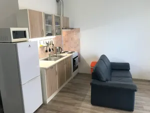 Pronájem bytu 1+kk, Šlapanice, Brněnská Pole, 38 m2