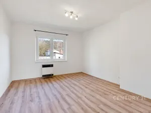 Pronájem bytu 1+1, Děčín, Riegrova, 37 m2