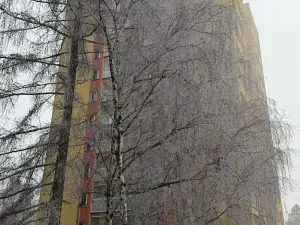 Prodej bytu 3+1, Ostrava, Výškovická, 70 m2