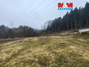 Prodej pozemku, Sokolov - Vítkov, 775 m2