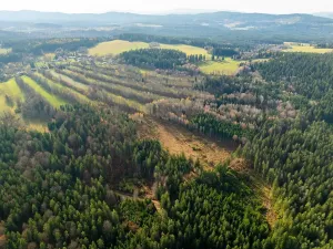 Prodej louky, Zbytiny, 33917 m2