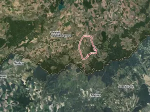 Prodej pole, Velká nad Veličkou, 4153 m2