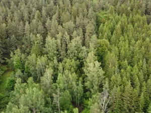 Prodej pozemku, Rejštejn, 1970 m2