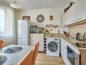 Prodej bytu 1+1, Větřní, Šumavská, 40 m2