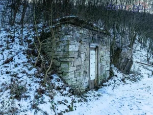 Prodej rodinného domu, Městečko Trnávka - Pěčíkov, 105 m2