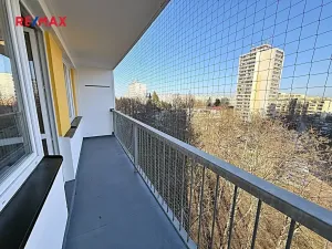 Pronájem bytu 1+kk, Pardubice, Družby, 30 m2