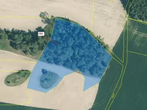 Dražba lesa, Manětín, 4801 m2