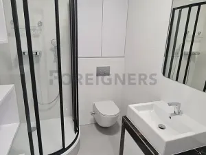 Pronájem bytu 1+kk, Brno, Jakubské náměstí, 32 m2