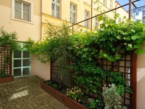 Pronájem bytu 1+kk, Praha - Žižkov, Vlkova, 25 m2