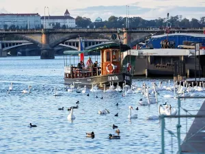 Prodej atypického bytu, Praha - Nusle, Bělehradská, 43 m2