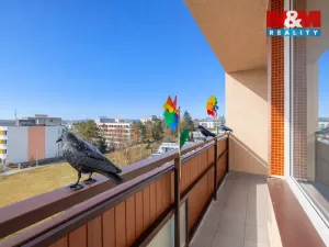 Pronájem bytu 3+1, Hradec Králové - Třebeš, Pod Strání, 77 m2