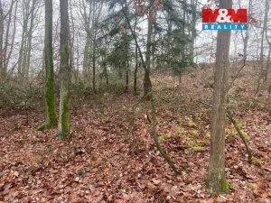 Prodej lesa, Krašlovice, 9178 m2