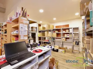 Prodej obchodního prostoru, Praha - Troja, Lodžská, 254 m2