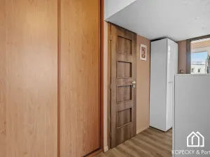 Prodej bytu 3+kk, Praha - Žižkov, Hartigova, 68 m2