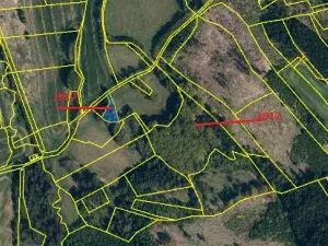 Prodej lesa, Vyskytná, 12390 m2