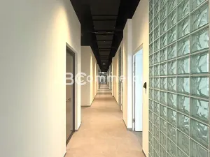 Pronájem kanceláře, Brno, Purkyňova, 50 m2